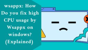 wsappx: How Do you fix high CPU usage by Wsappx on windows? (Explained)